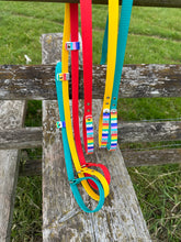 Load image into Gallery viewer, Strut your stripes Slip Lead/Figure 8 Lead
