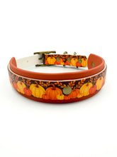 Load image into Gallery viewer, Autumn Harvest Collar
