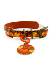 Load image into Gallery viewer, Autumn Harvest Collar
