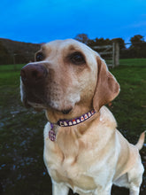 Load image into Gallery viewer, Ghost Gang Collar
