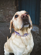 Load image into Gallery viewer, Ghost Gang Collar
