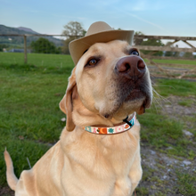 Load image into Gallery viewer, Cowpup Hat
