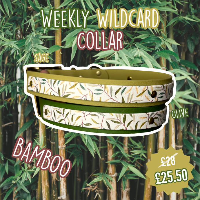 BAMBOO COLLAR - WEEKLY WILDCARD