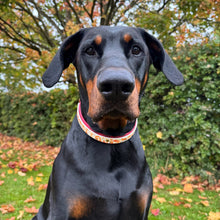Load image into Gallery viewer, Autumn Fox Collar
