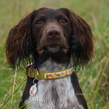 Load image into Gallery viewer, Autumn Fox Collar
