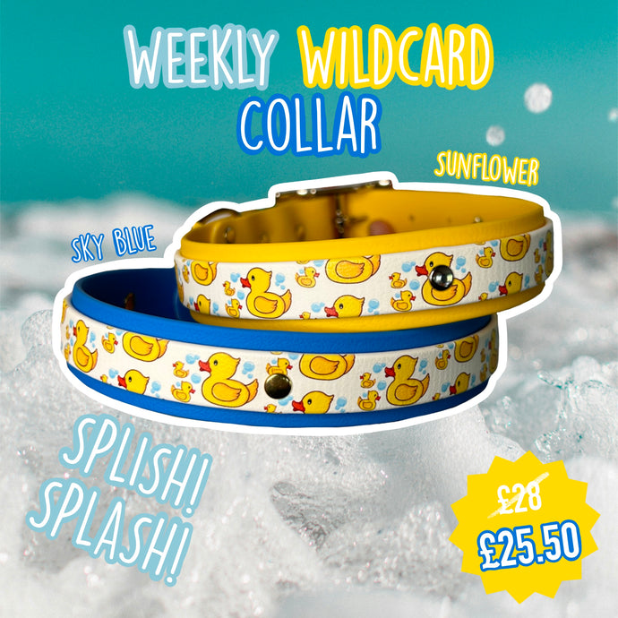 SPLISH SPLASH COLLAR - WEEKLY WILDCARD