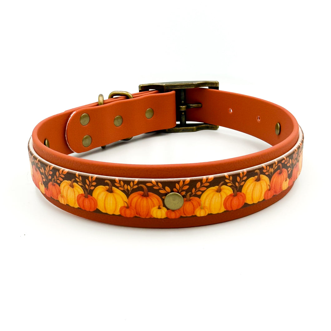 Autumn Harvest Collar