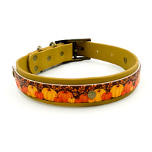 Load image into Gallery viewer, Autumn Harvest Collar
