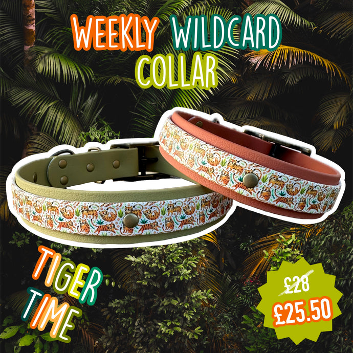 TIGER TIME COLLAR - WEEKLY WILDCARD