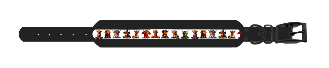 CHUNKY Halloween Hamish Collar (38mm)