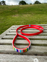 Load image into Gallery viewer, Strut your stripes Slip Lead/Figure 8 Lead
