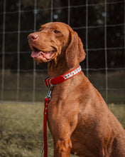 Load image into Gallery viewer, Strawberry Collar
