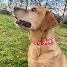 Load image into Gallery viewer, Red Cariad Collar
