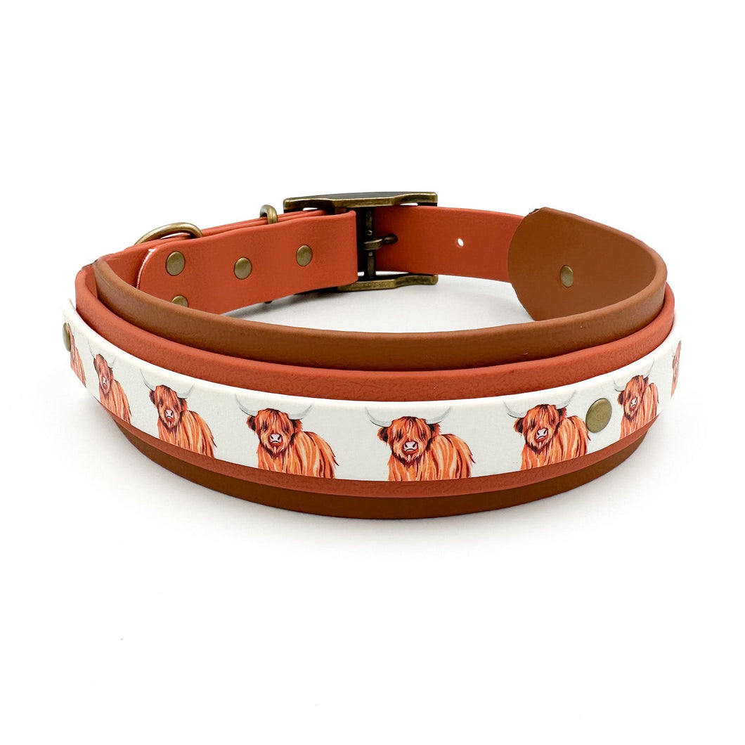 CHUNKY Highland Cow Collar (38mm)