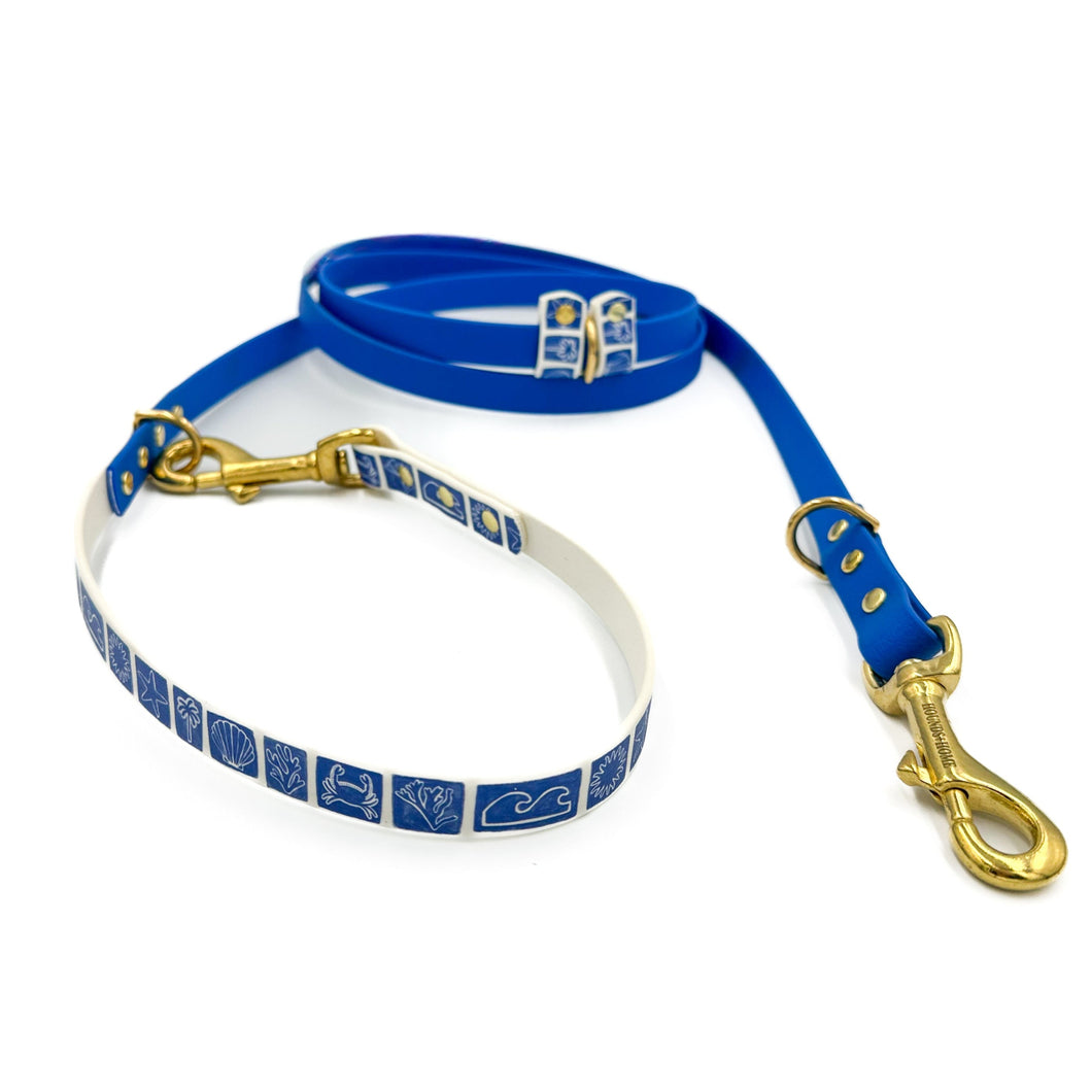 Beachy Blue Hands-free Training Lead