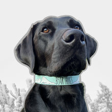 Load image into Gallery viewer, Bear Hugs Collar
