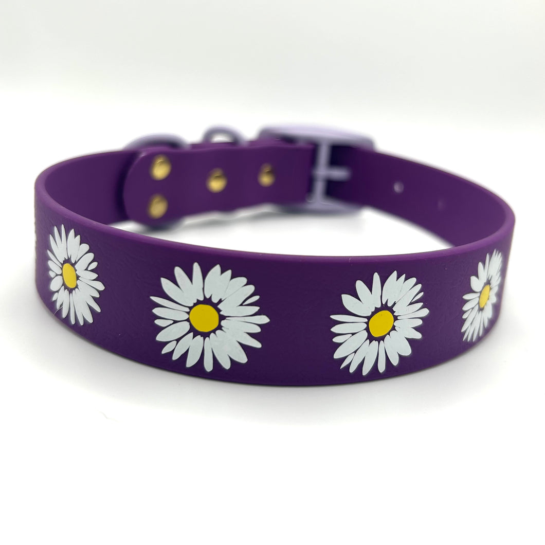 Purple Daisy Collar - Medium (14