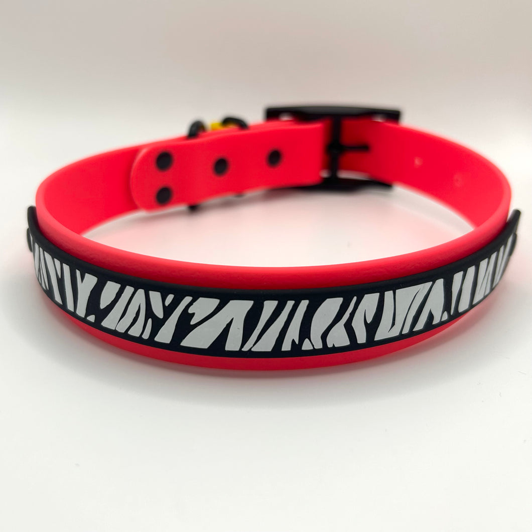 Neon Pink & Black Zebra Collar - Medium (14