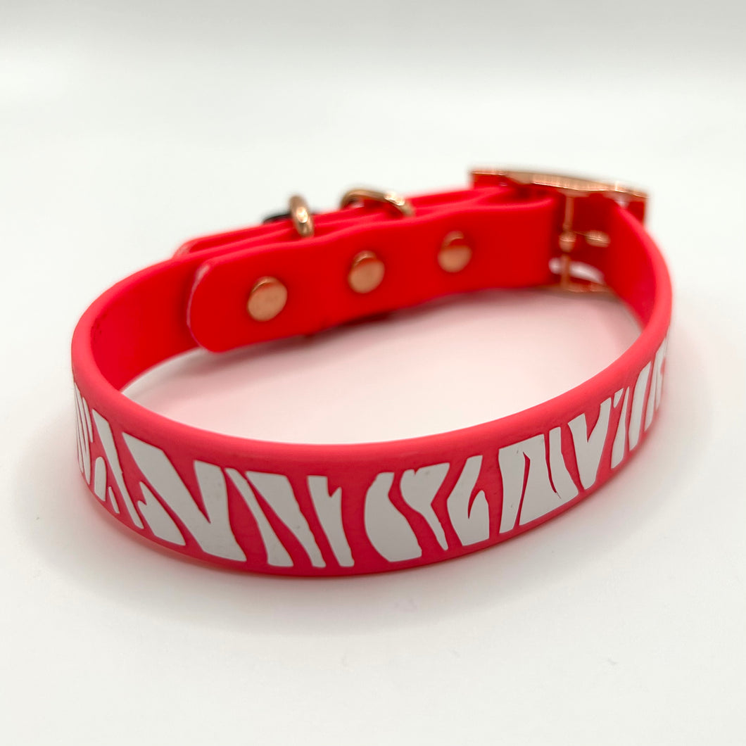 Neon Pink Zebra Classic Collar - XXS (8