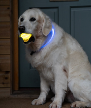 Load image into Gallery viewer, USB Rechargeable Glow in the Dark Ball Dog Toy
