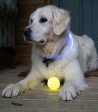 Load image into Gallery viewer, USB Rechargeable Glow in the Dark Ball Dog Toy
