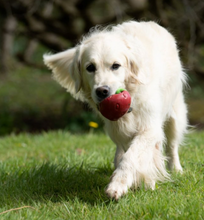 Load image into Gallery viewer, Suzie Strawberry Latex Dog Toy
