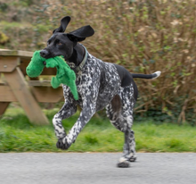 Load image into Gallery viewer, Cooper Crocodile Plush Toy
