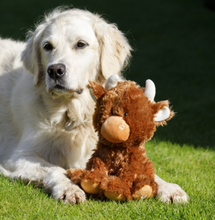 Load image into Gallery viewer, Hamish Highland Cow Plush Toy
