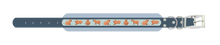 Load image into Gallery viewer, CHUNKY Capybara Collar (38mm)
