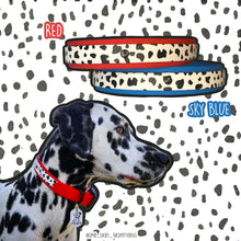 Load image into Gallery viewer, Dalmatian Collection (Design your own)
