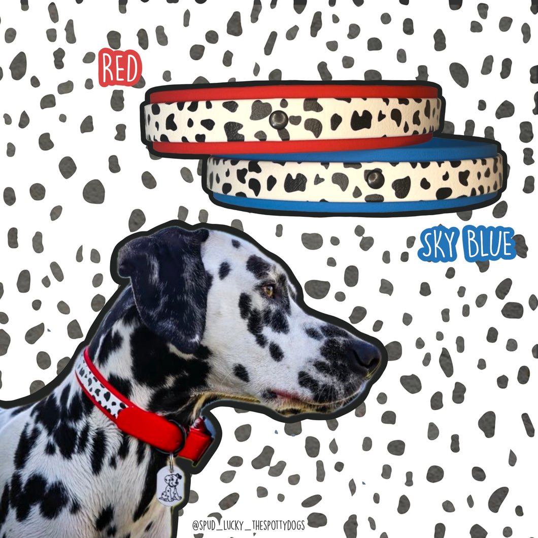 Dalmatian Collection (Design your own)