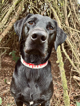 Load image into Gallery viewer, LUCIFER COLLAR

