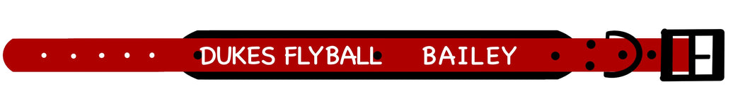 BAILEY - DUKES FLYBALL