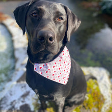 Load image into Gallery viewer, PUPPY LOVE BANDANA
