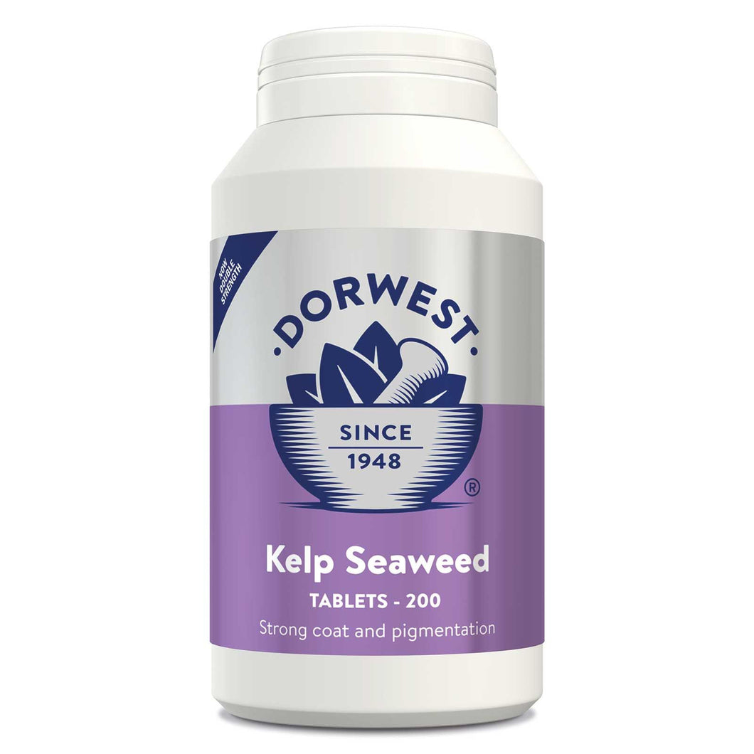 Kelp Seaweed Tablets - Strong Coat, Moulting & pigmentation