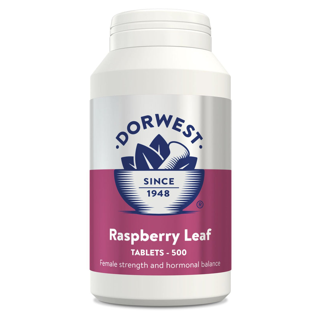 Raspberry Leaf Tablets (500 Tablets) - Female strength & hormonal balance
